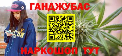 гашик Гатчина