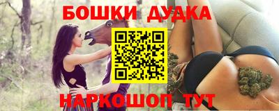 гашик Гатчина