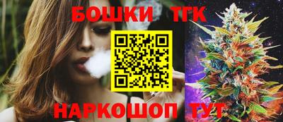 гашик Гатчина