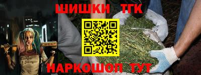 СК Гагарин