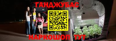 СК Гагарин