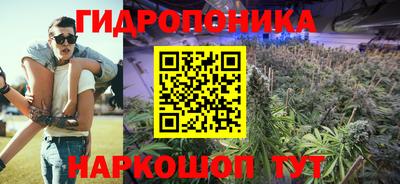 гашик Гатчина