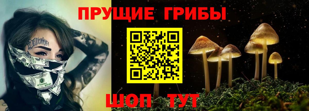Галлюциногенные грибы Psilocybine cubensis Миллерово